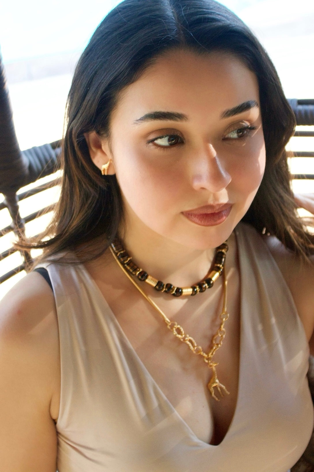 Savanna Set